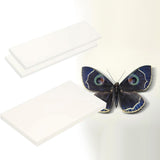 Maxbell Making Butterfly Specimen Tool for Wedding Living Room Durable Display Case