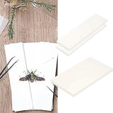 Maxbell Making Butterfly Specimen Tool for Wedding Living Room Durable Display Case