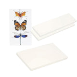 Maxbell Making Butterfly Specimen Tool for Wedding Living Room Durable Display Case