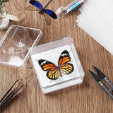 Maxbell Making Butterfly Specimen Tool for Wedding Living Room Durable Display Case