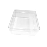 Maxbell Making Butterfly Specimen Tool for Wedding Living Room Durable Display Case