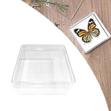 Maxbell Making Butterfly Specimen Tool for Wedding Living Room Durable Display Case