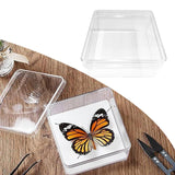 Maxbell Making Butterfly Specimen Tool for Wedding Living Room Durable Display Case