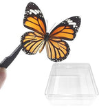 Maxbell Making Butterfly Specimen Tool for Wedding Living Room Durable Display Case