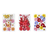 Maxbell Dried Pressed Flowers Mixed Decorative for Nail Art Candle Soap Making Epoxy Orange Pink