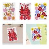 Maxbell Dried Pressed Flowers Mixed Decorative for Nail Art Candle Soap Making Epoxy Orange Pink