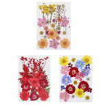 Maxbell Dried Pressed Flowers Mixed Decorative for Nail Art Candle Soap Making Epoxy Orange Pink