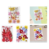 Maxbell Dried Pressed Flowers Mixed Decorative for Nail Art Candle Soap Making Epoxy Orange Pink