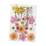 Maxbell Dried Pressed Flowers Mixed Decorative for Nail Art Candle Soap Making Epoxy Orange Pink