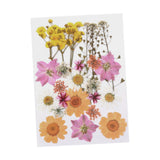 Maxbell Dried Pressed Flowers Mixed Decorative for Nail Art Candle Soap Making Epoxy Orange Pink
