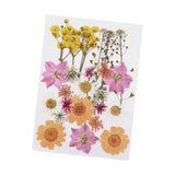 Maxbell Dried Pressed Flowers Mixed Decorative for Nail Art Candle Soap Making Epoxy Orange Pink