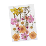 Maxbell Dried Pressed Flowers Mixed Decorative for Nail Art Candle Soap Making Epoxy Orange Pink