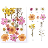 Maxbell Dried Pressed Flowers Mixed Decorative for Nail Art Candle Soap Making Epoxy Orange Pink