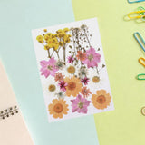 Maxbell Dried Pressed Flowers Mixed Decorative for Nail Art Candle Soap Making Epoxy Orange Pink