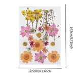 Maxbell Dried Pressed Flowers Mixed Decorative for Nail Art Candle Soap Making Epoxy Orange Pink