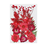 Dried Pressed Flowers Mixed Decorative for Nail Art Candle Soap Making Epoxy Red