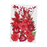 Dried Pressed Flowers Mixed Decorative for Nail Art Candle Soap Making Epoxy Red