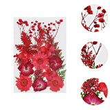 Dried Pressed Flowers Mixed Decorative for Nail Art Candle Soap Making Epoxy Red