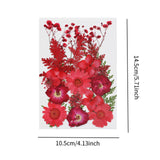 Dried Pressed Flowers Mixed Decorative for Nail Art Candle Soap Making Epoxy Red