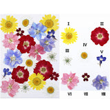 Maxbell Dried Pressed Flowers Mixed Decorative for Nail Art Candle Soap Making Epoxy Violet Red