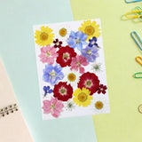 Maxbell Dried Pressed Flowers Mixed Decorative for Nail Art Candle Soap Making Epoxy Violet Red
