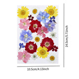 Maxbell Dried Pressed Flowers Mixed Decorative for Nail Art Candle Soap Making Epoxy Violet Red