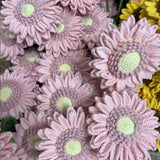 Maxbell Crochet Flower Vivid Bouquet for Party Supplies Graduation Table Centerpiece Pink