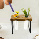 Maxbell Hydroponic Planter Table Decorative Glass Vase for Center Table Country Home