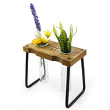 Maxbell Hydroponic Planter Table Decorative Glass Vase for Center Table Country Home