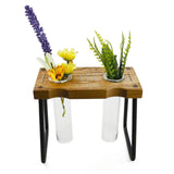 Maxbell Hydroponic Planter Table Decorative Glass Vase for Center Table Country Home