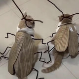 Maxbell Cat Clothing Kit Craft DIY Material for Themed Party Gift Birthday