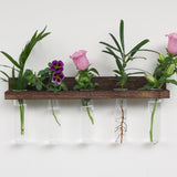 Maxbell Wall Hanging Propagation Station with Wooden Stand Clear for Bedroom Balcony