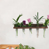 Maxbell Wall Hanging Propagation Station with Wooden Stand Clear for Bedroom Balcony