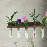 Maxbell Wall Hanging Propagation Station with Wooden Stand Clear for Bedroom Balcony