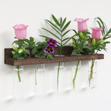 Maxbell Wall Hanging Propagation Station with Wooden Stand Clear for Bedroom Balcony