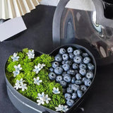Maxbell 2x Heart Shaped Boxes with Clear Lids Present Case Wedding Backdrop Fillable Black