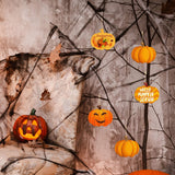 Maxbell 5 Pieces Pumpkin Wooden Cutouts Wooden Pumpkins Ornaments to Paint for Party Style A