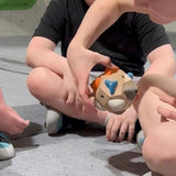20