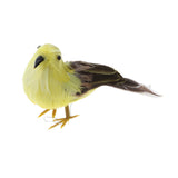 Maxbell Set 2 Artificial Small Bird Realistic ORNAMENTS Feather Taxidermy Tree Decor
