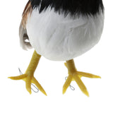 Maxbell Set 2 Artificial Small Bird Realistic ORNAMENTS Feather Taxidermy Tree Decor