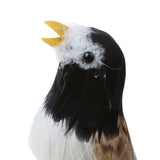 Maxbell Set 2 Artificial Small Bird Realistic ORNAMENTS Feather Taxidermy Tree Decor