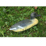 Maxbell Fishing Hunting Decoy Plastic Duck Decoy Drake w/ Weighted Floating Keel #3 - Aladdin Shoppers