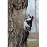 Maxbell Realistic Artificial Feather Animal Woodpecker Garden Figurine Decoration - Aladdin Shoppers