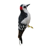 Maxbell Realistic Artificial Feather Animal Woodpecker Garden Figurine Decoration - Aladdin Shoppers