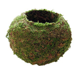 3pcs Creative Moss Ball Flower Pot Planter Bonsai Plant Holder Garden Decor