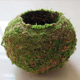 3pcs Creative Moss Ball Flower Pot Planter Bonsai Plant Holder Garden Decor