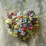 Maxbell 4Pcs 21cm Iron Heart Shape Succulent Pot Metal Hanging Planter Plant Holder