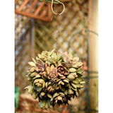 Maxbell 2pcs Retro Iron Moon Shape Succulent Pot Metal Hanging Planter Plant Holder