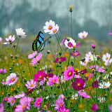 Maxbell 100Pcs Garden Yard Planter Butterfly Stakes Dragonfly Decoration Butterfly