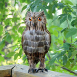 Maxbell 2pcs/set Artificial Owl Bird Feather Realistic Taxidermy Home Garden Decor